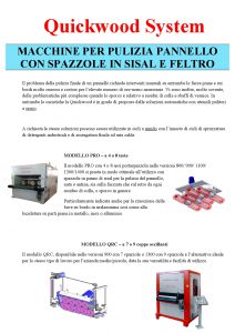 SISTEMI-PER-PULIZIA-ANTE-001